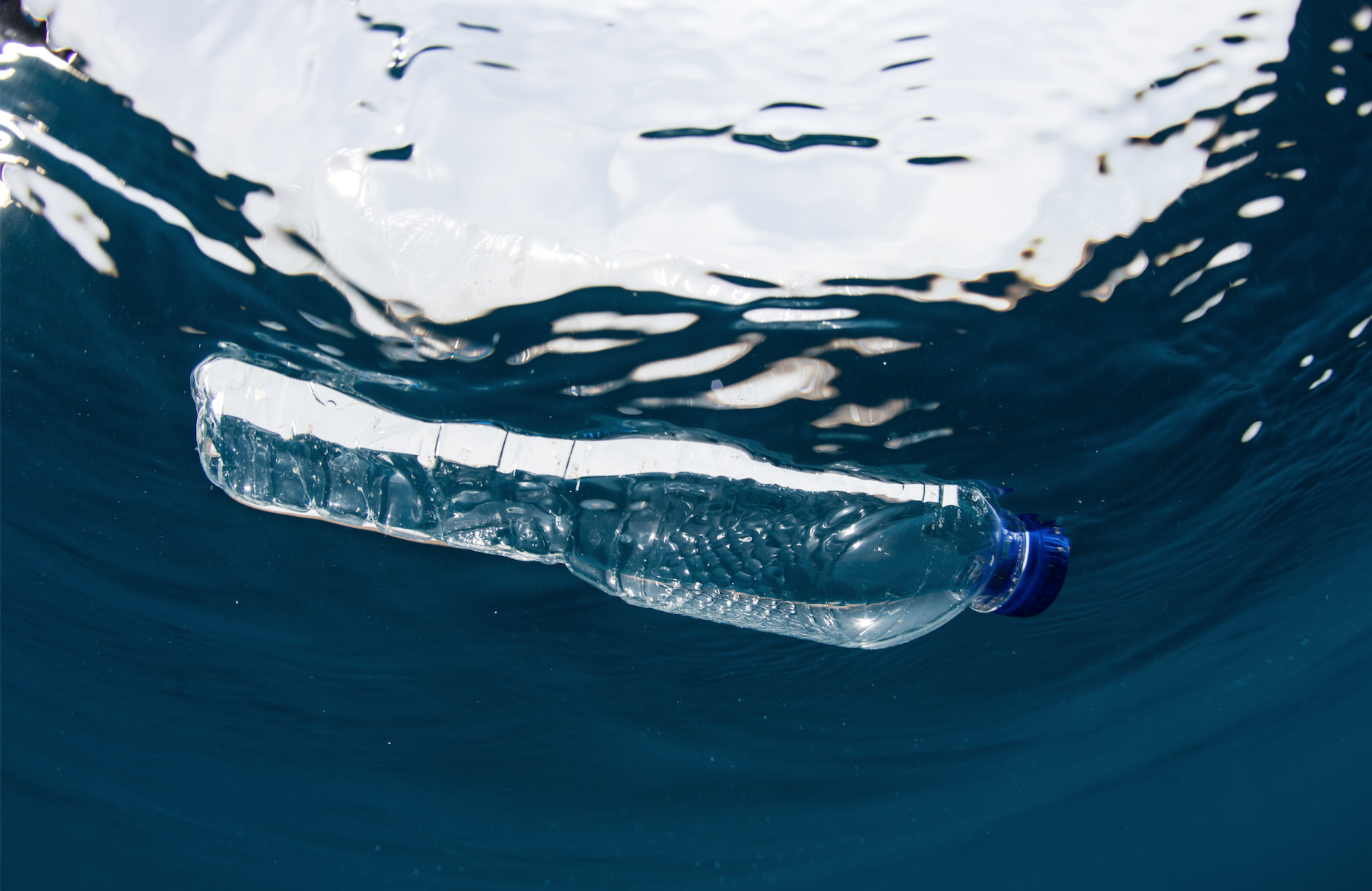 Future Trends in the rPET Bottle Industry: What to Watch For