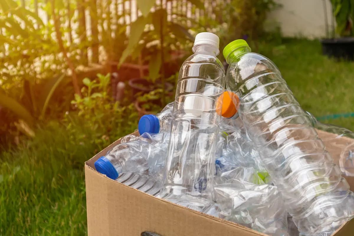 Items You Never Knew Were Made from Recycled PET Bottles